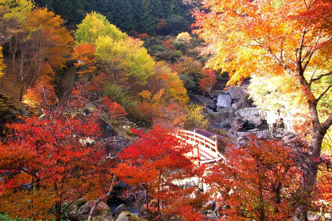 Nature Resort In Niyodo Niyodogawa Екстериор снимка